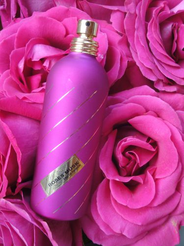 Roses Musk